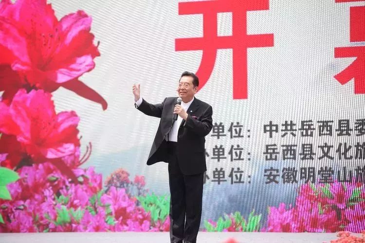 第十四届岳西县映山红旅游文化月,岳西映山红文化旅游节