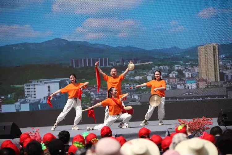 第十四届岳西县映山红旅游文化月,岳西映山红文化旅游节