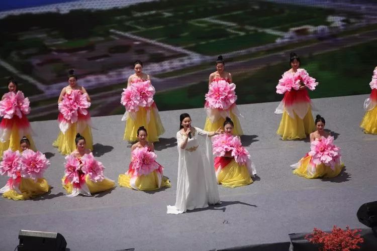 第十四届岳西县映山红旅游文化月,岳西映山红文化旅游节