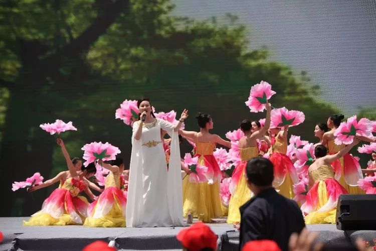 第十四届岳西县映山红旅游文化月,岳西映山红文化旅游节