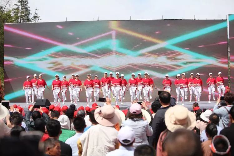 第十四届岳西县映山红旅游文化月,岳西映山红文化旅游节