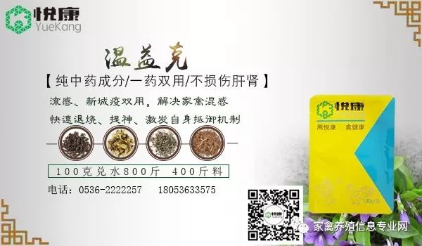 家禽流感特效药,家禽新城疫用什么药