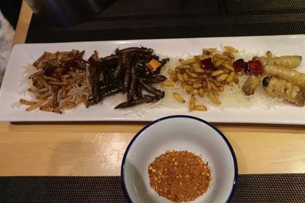 吃虫的怪物,吃虫虫真实视频