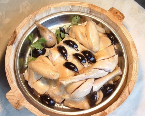 吃虫的怪物,吃虫虫真实视频