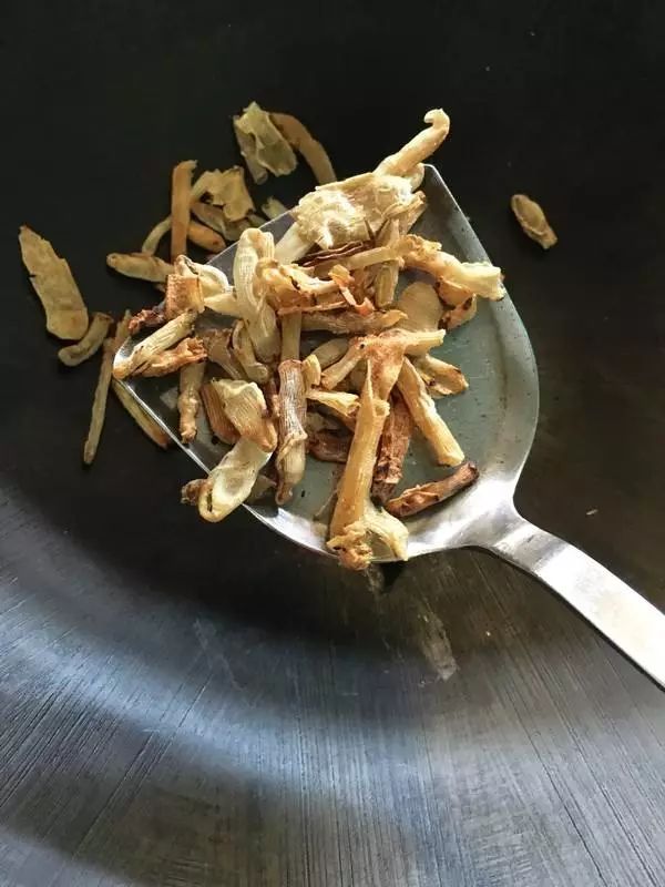 吃虫的怪物,吃虫虫真实视频