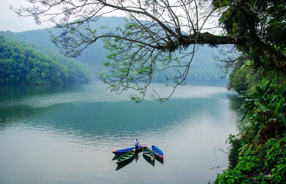 自由行免签国家机票便宜,说走就走的免签国家攻略
