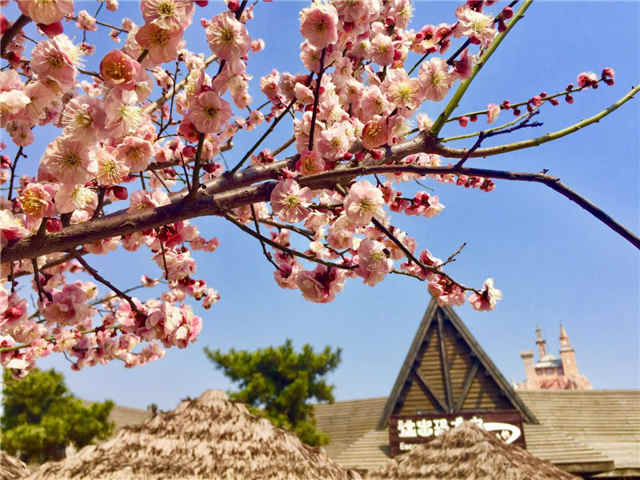 青岛12处a级景点免门票开放,青岛人免费领取礼包