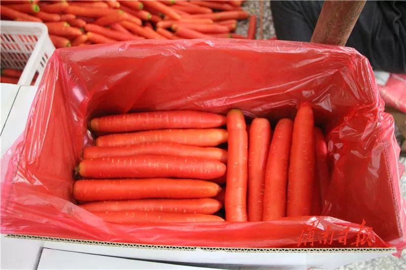 板岩镇强化党建引领促进乡村振兴,腊竹底村党建引领助推乡村振兴