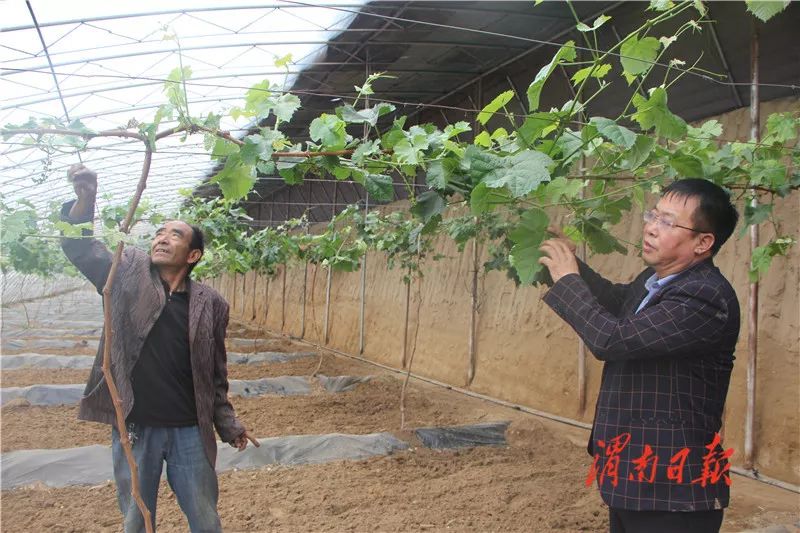 板岩镇强化党建引领促进乡村振兴,腊竹底村党建引领助推乡村振兴