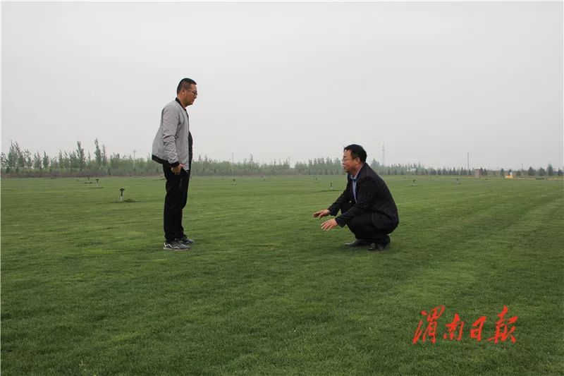 板岩镇强化党建引领促进乡村振兴,腊竹底村党建引领助推乡村振兴