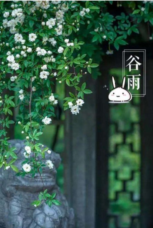 【方志四川•节气】刘艳平‖谷雨：雨生百谷，春从此别夏将至