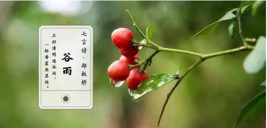 【方志四川•节气】刘艳平‖谷雨：雨生百谷，春从此别夏将至