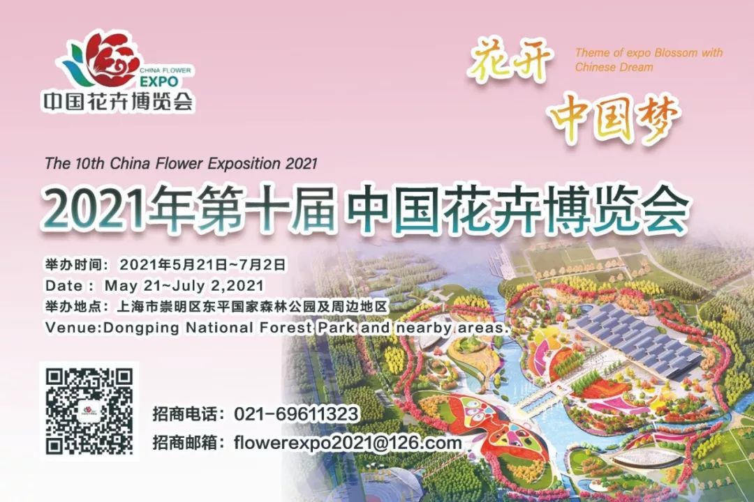 省钱有创意的网红打卡地,打卡网红地朋友圈