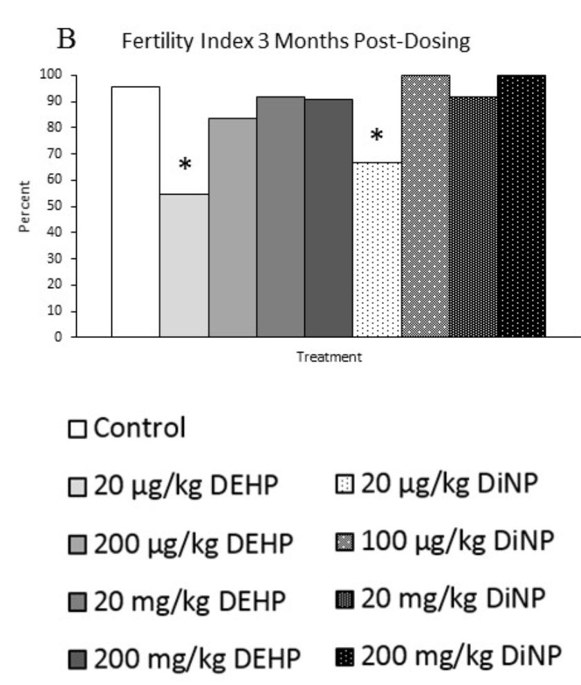 小心塑化剂！科学家证实，日常暴露剂量的塑化剂会导致雌性小鼠生殖能力大幅下降，最高可降50%丨科学大发现