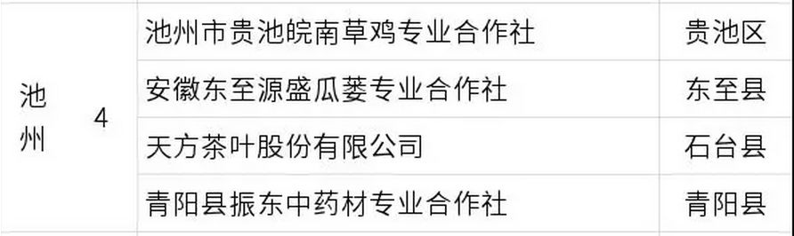 早安2020年4月7日,早安池州