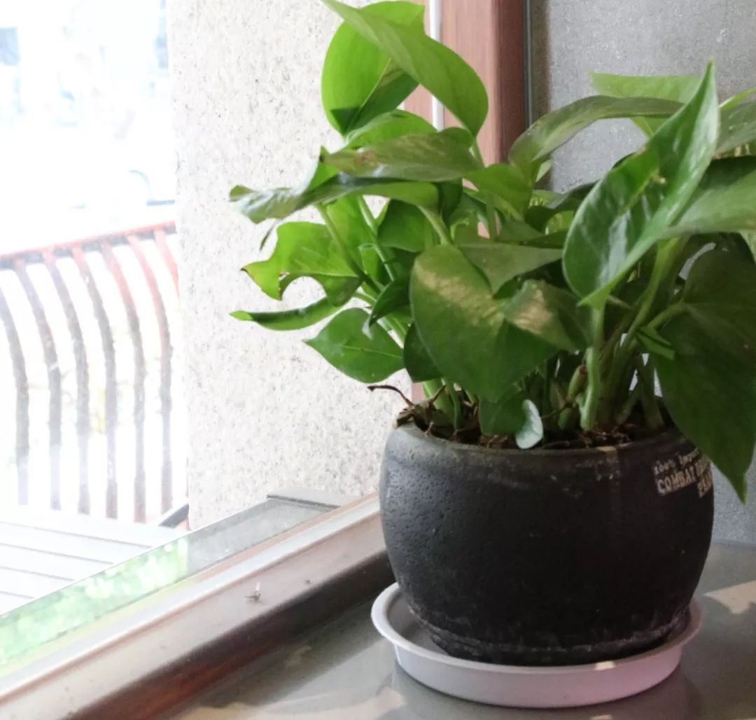 寰峰厠澹捣闄嗗法锜瑰牎浠烽挶,寰峰厠澹捣闄嗗湴宸ㄨ煿濂楅