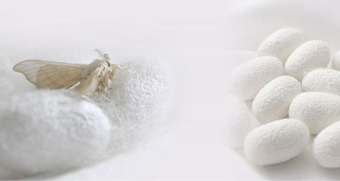 100%正品正宗纯天然桑蚕丝蚕丝被,正品纯手工100桑蚕丝被