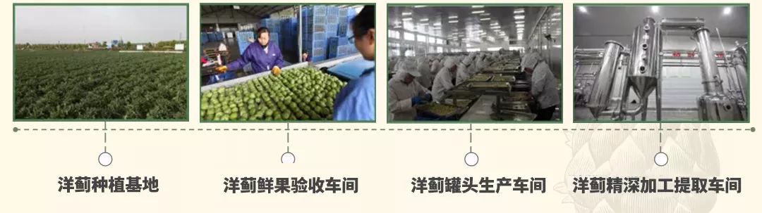 天然强肝剂护肝排毒,护肝排毒产品