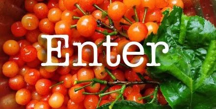 输入法打不出来的词,输入法打不出正确词语