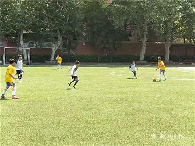 香港中学足球队,香港小学生来广州