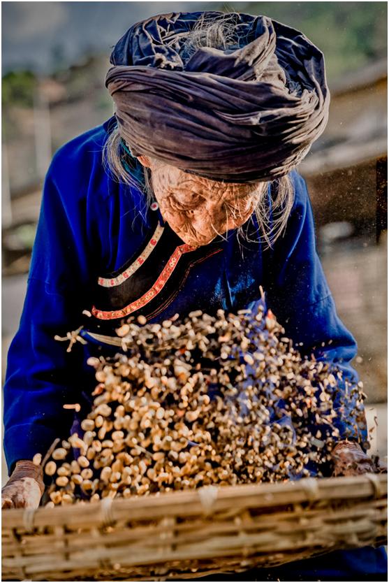 拼多多果园扶贫,拼多多农产品扶贫政策