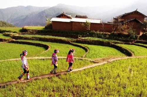 国家对乡村产业发展政策,国务院乡村产业发展规划