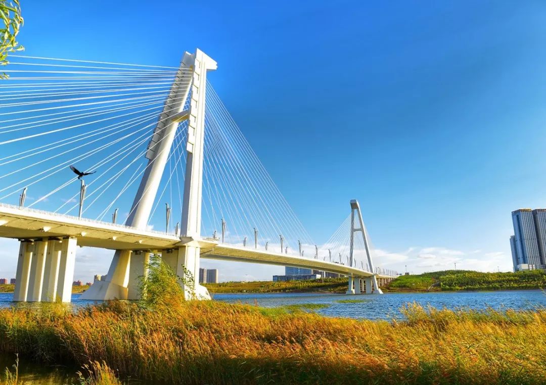 【热点】这把火要经过你家门口啦！快来查收这份路线图~