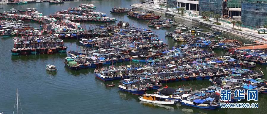接下来福建人都在吃梭子蟹,接下来福建人开始吃什么菜