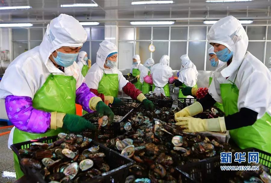 接下来福建人都在吃梭子蟹,接下来福建人开始吃什么菜