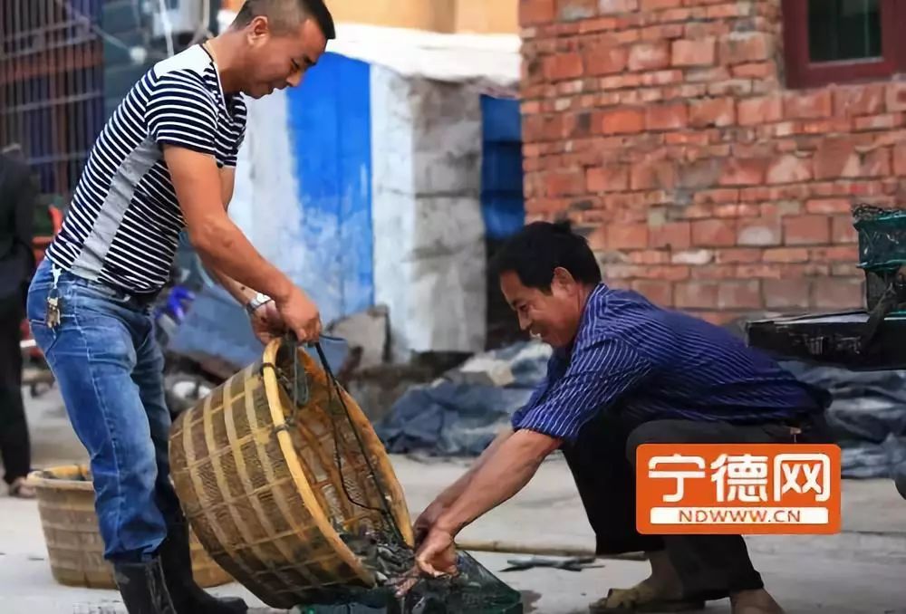 接下来福建人都在吃梭子蟹,接下来福建人开始吃什么菜