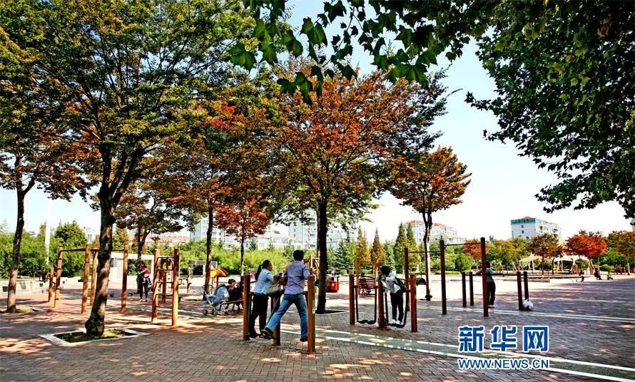 城阳全民健身中心,青岛城阳全民体育训练基地