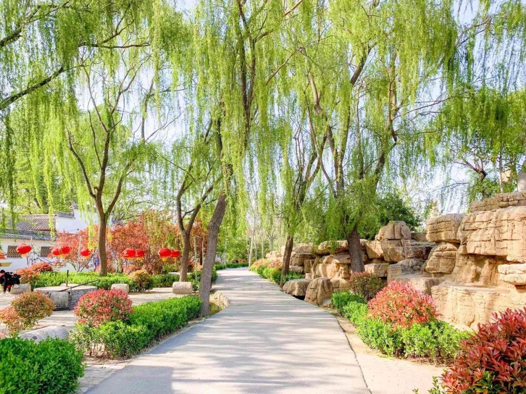 鑱婂煄濮滃牑涔愬洯妯辫姳,鑱婂煄濮滃牑妯辫姳涔愬洯