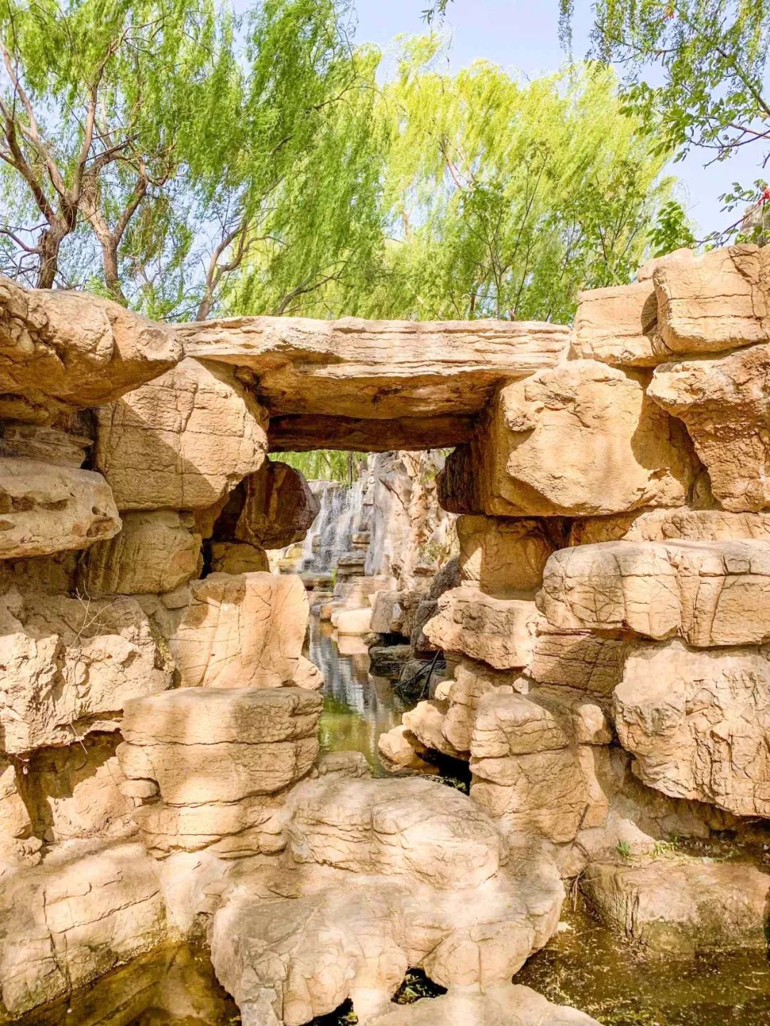 鑱婂煄濮滃牑涔愬洯妯辫姳,鑱婂煄濮滃牑妯辫姳涔愬洯