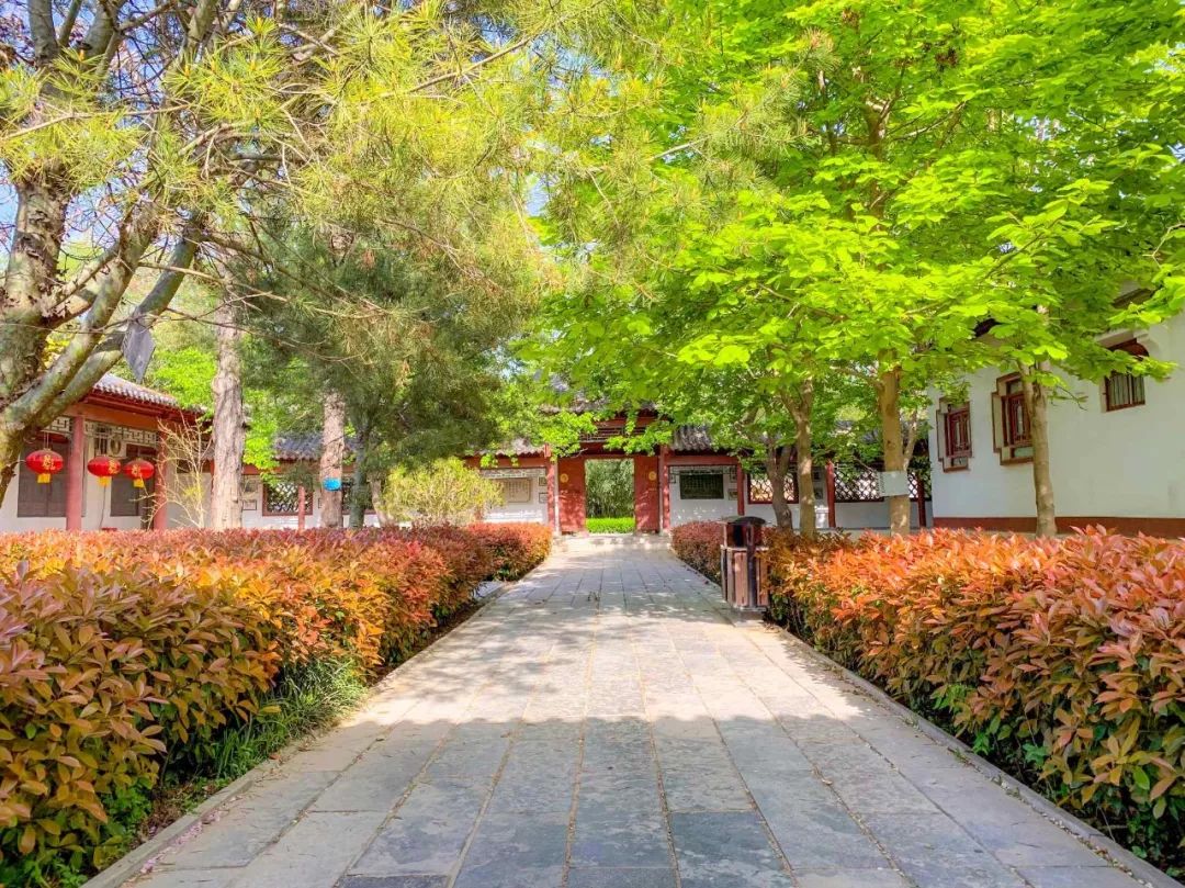 鑱婂煄濮滃牑涔愬洯妯辫姳,鑱婂煄濮滃牑妯辫姳涔愬洯