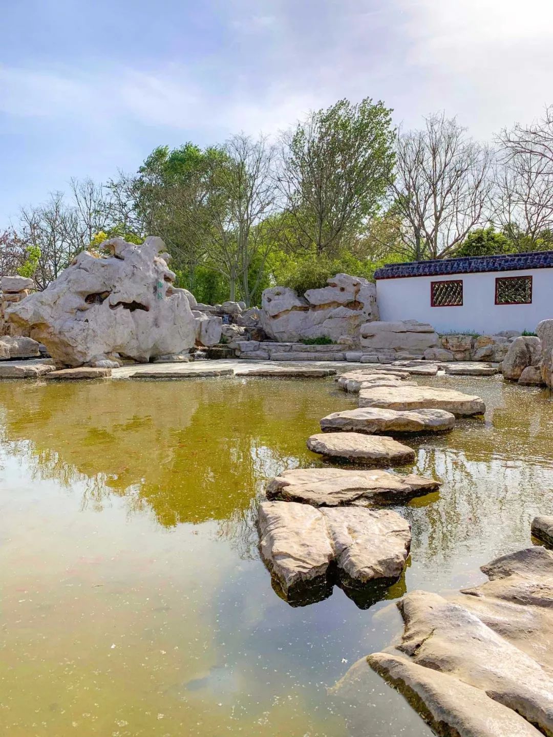 鑱婂煄濮滃牑涔愬洯妯辫姳,鑱婂煄濮滃牑妯辫姳涔愬洯