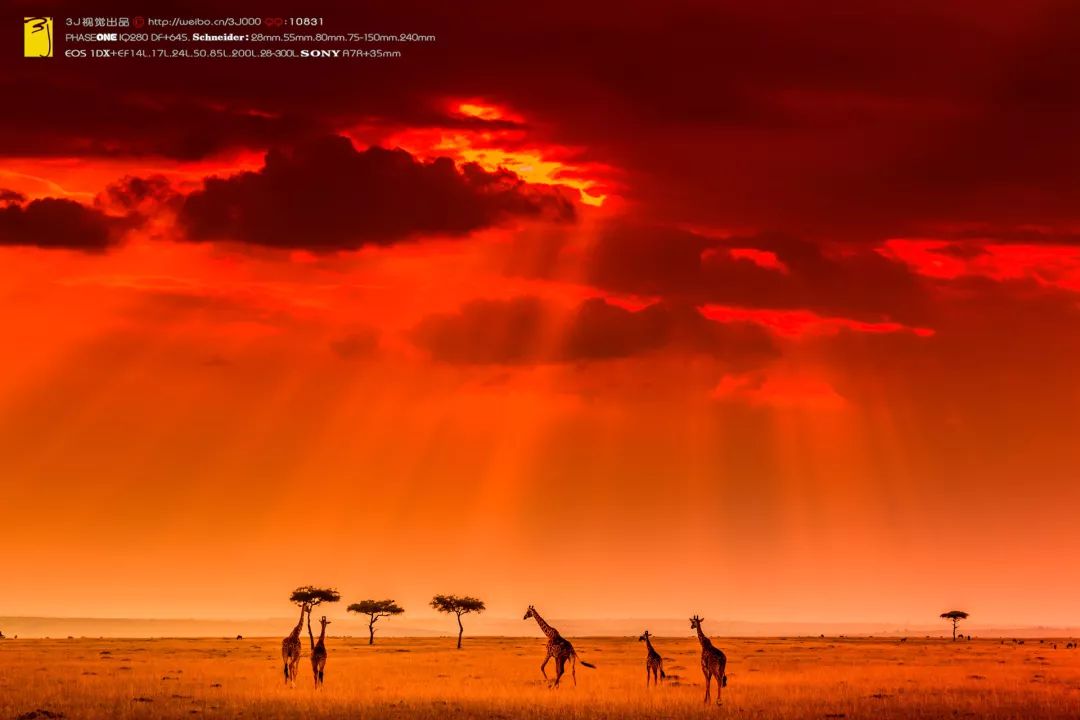 纪实大片摄影如何拍好看,摄影如何拍出大量好片