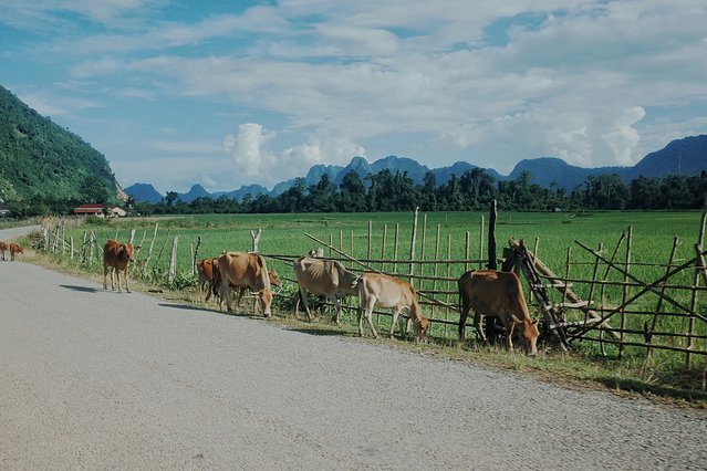 去那方简朴的国度干一瓶Beerlao‖老挝慢生活