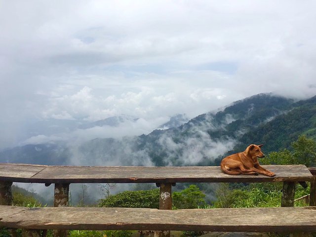 去那方简朴的国度干一瓶Beerlao‖老挝慢生活