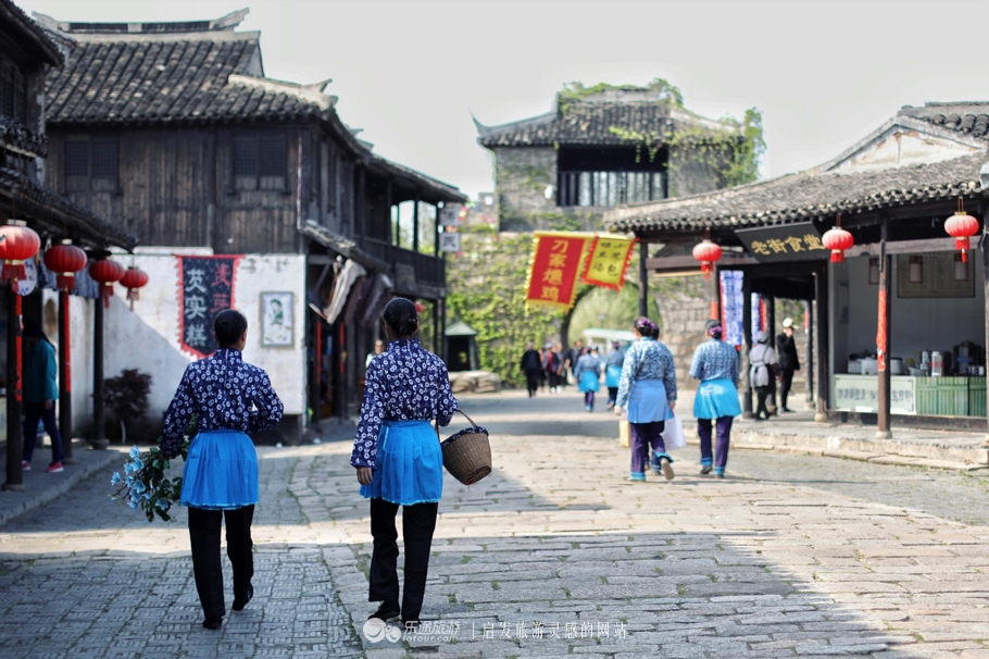 原味江南｜在春日繁花烂漫的沙家浜，等风也等你