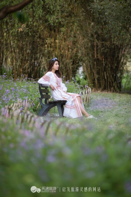 原味江南｜在春日繁花烂漫的沙家浜，等风也等你