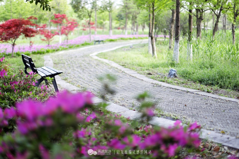 原味江南｜在春日繁花烂漫的沙家浜，等风也等你
