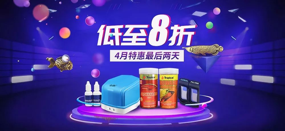 日常鱼缸维护注意事项大全,大型鱼缸维护十大技巧