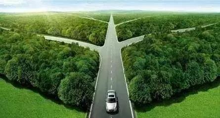 捡到小鸟是国家二级野生保护动物,花坛惊现大鸟国家保护动物