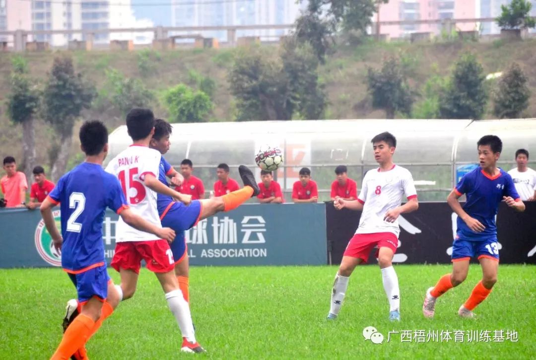 青运会毽球比赛直播回放,第二届青运会足球比赛直播