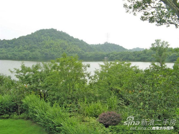 新湖香格里拉高层户型129,良渚新湖香格里拉房价