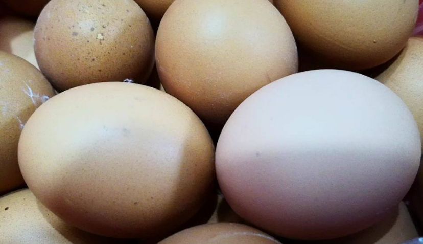 每天吃几个熟鸡蛋最好,如何挑鸡蛋什么样的鸡蛋吃了好