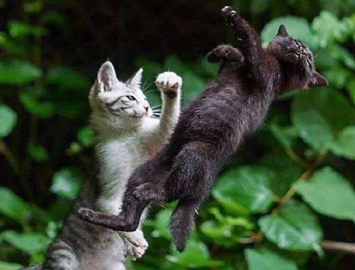 纵横职场江湖，你需要虹口法院这本“宝典”……