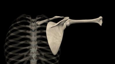 身体五个危险三角区,人体三角区有哪些危险