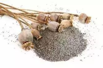 这个“偏方”能治病？上饶两位村民在自家菜地种植这种植物被抓…