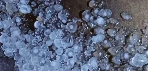 贵阳樱桃节攻略,贵州下坝樱桃节